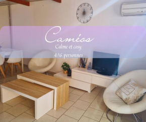 Caméos - appartement avec terrasse LocAirbi